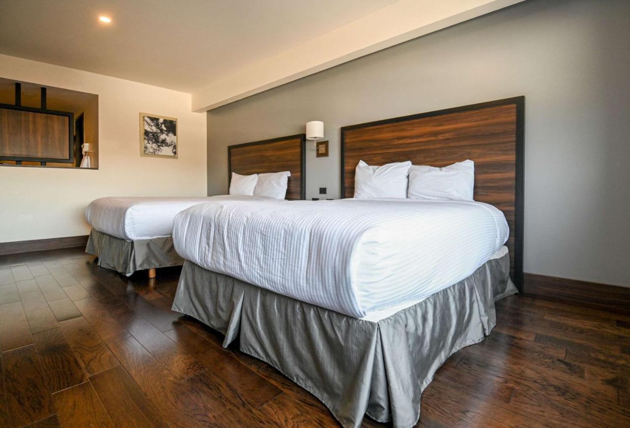 Habitación Doble Estándar para no fumadores - 2 camas dobles