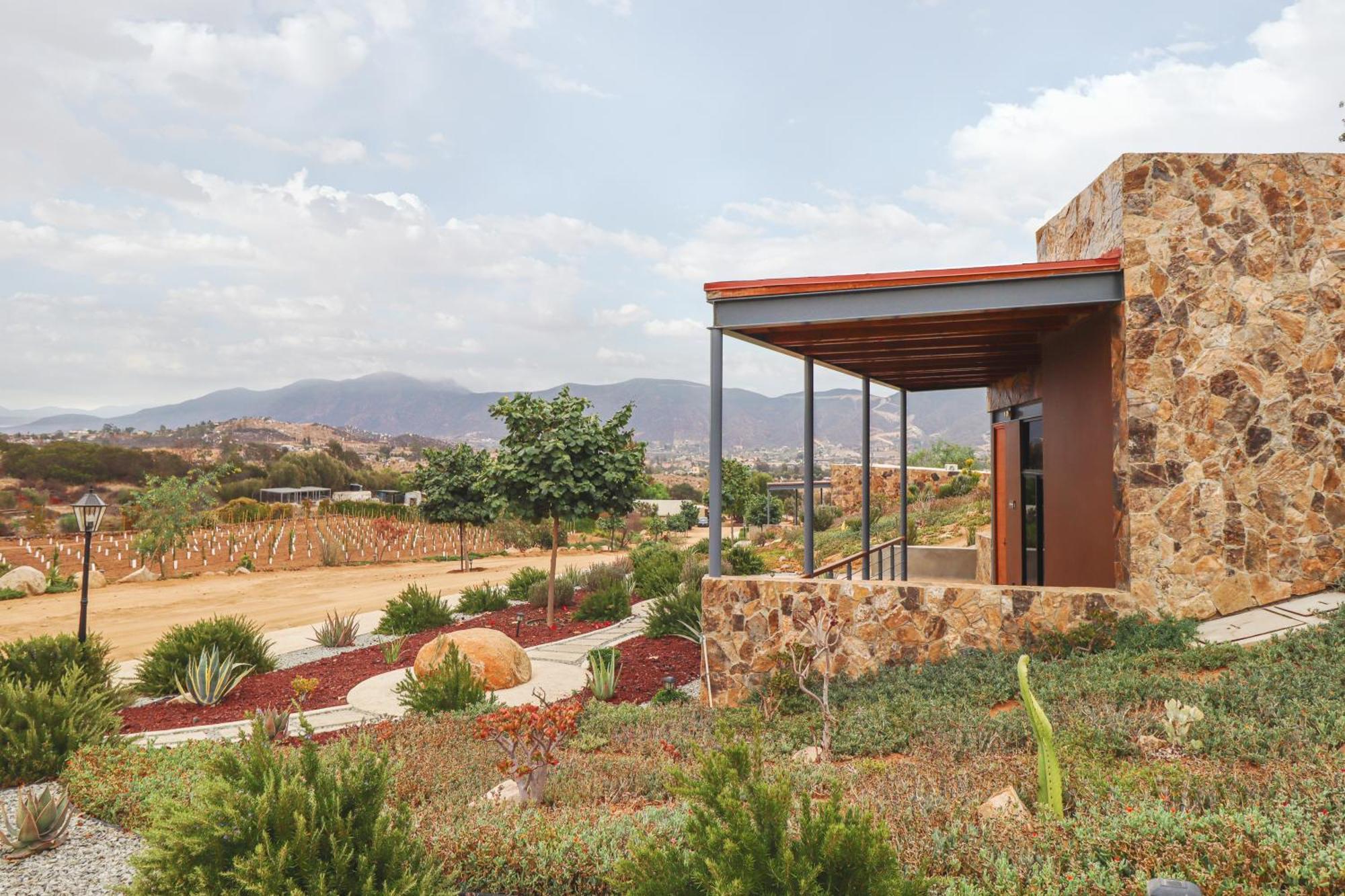 Suite Junior con terraza