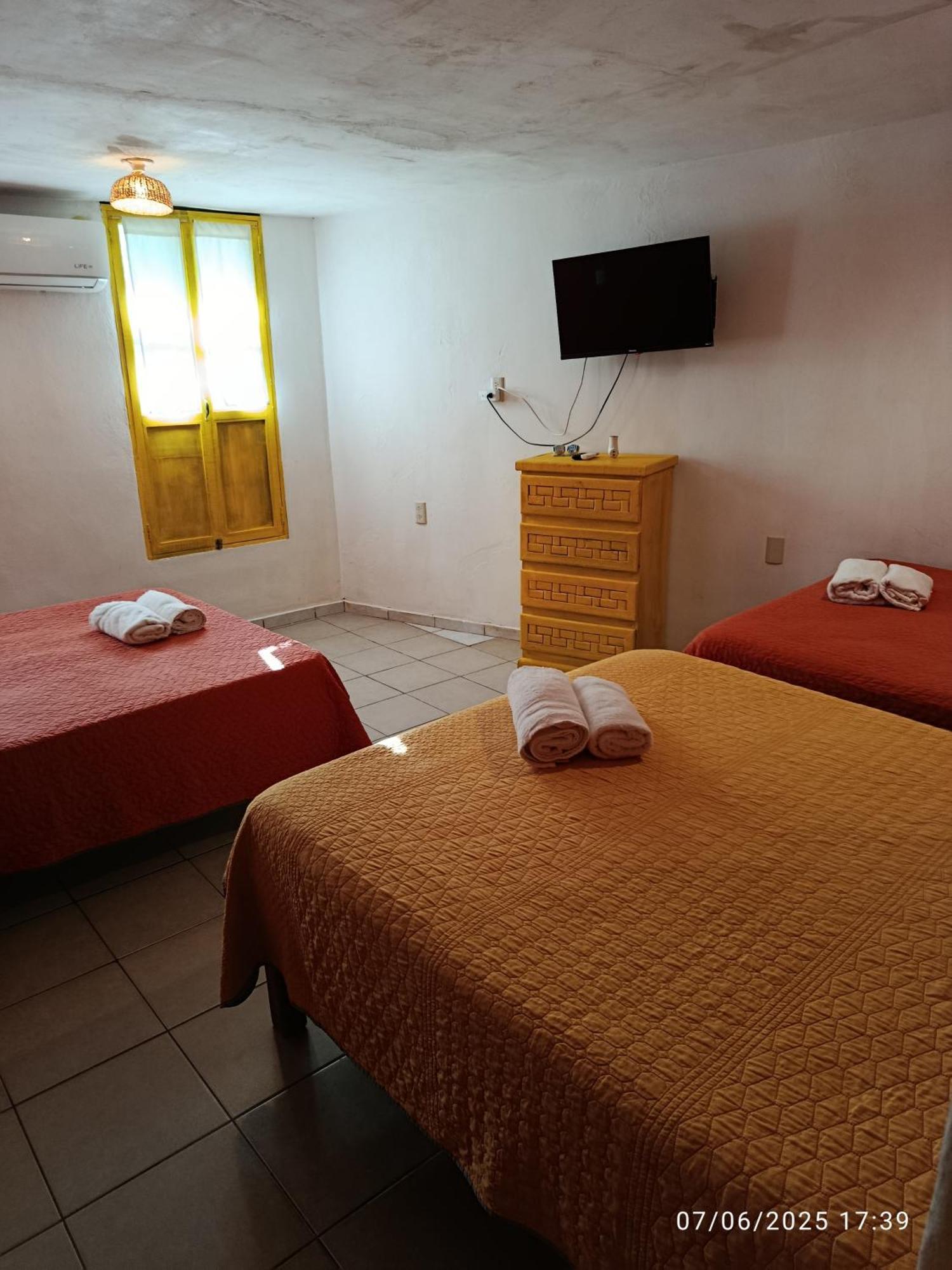 Habitación Familiar con vistas al jardín