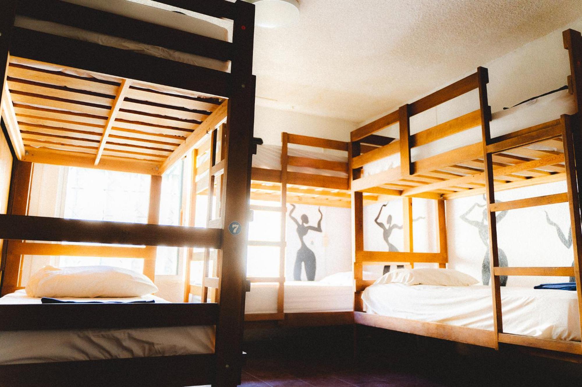 Bed in 8-Bed Mixed Dormitory Room