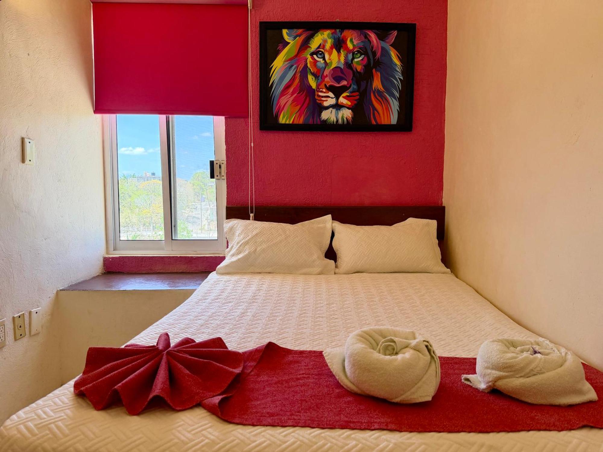 Habitación Individual Pequeña