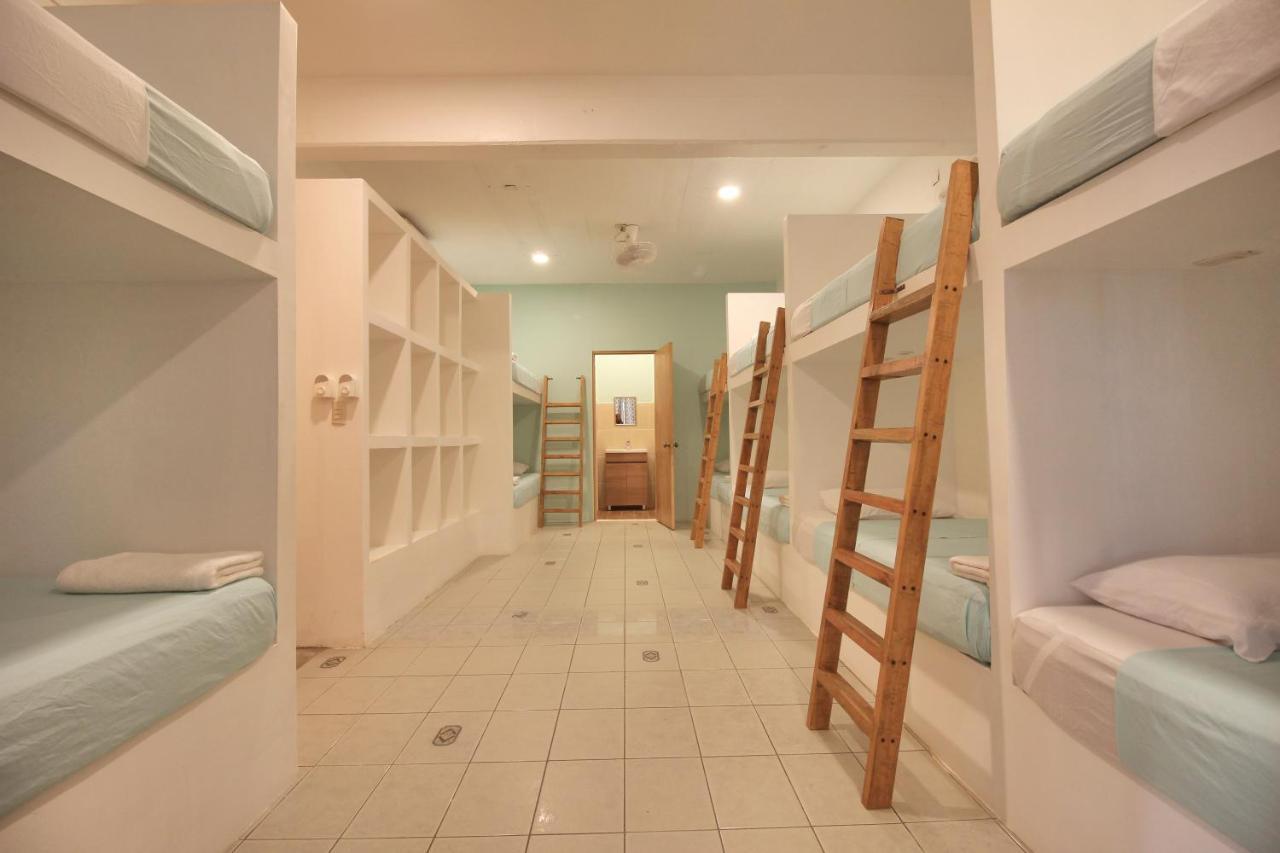 Bunk Bed Mixed Dormitory Room,790846158:JPEG
