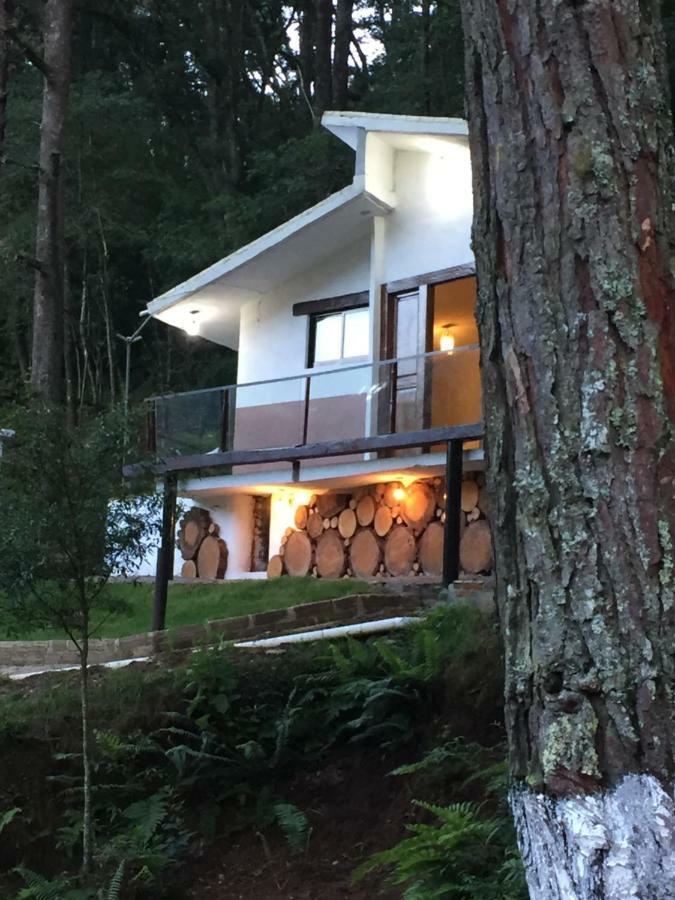 Habitación Doble Estándar con vistas a la montaña - 2 camas