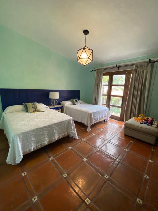 Suite Executive