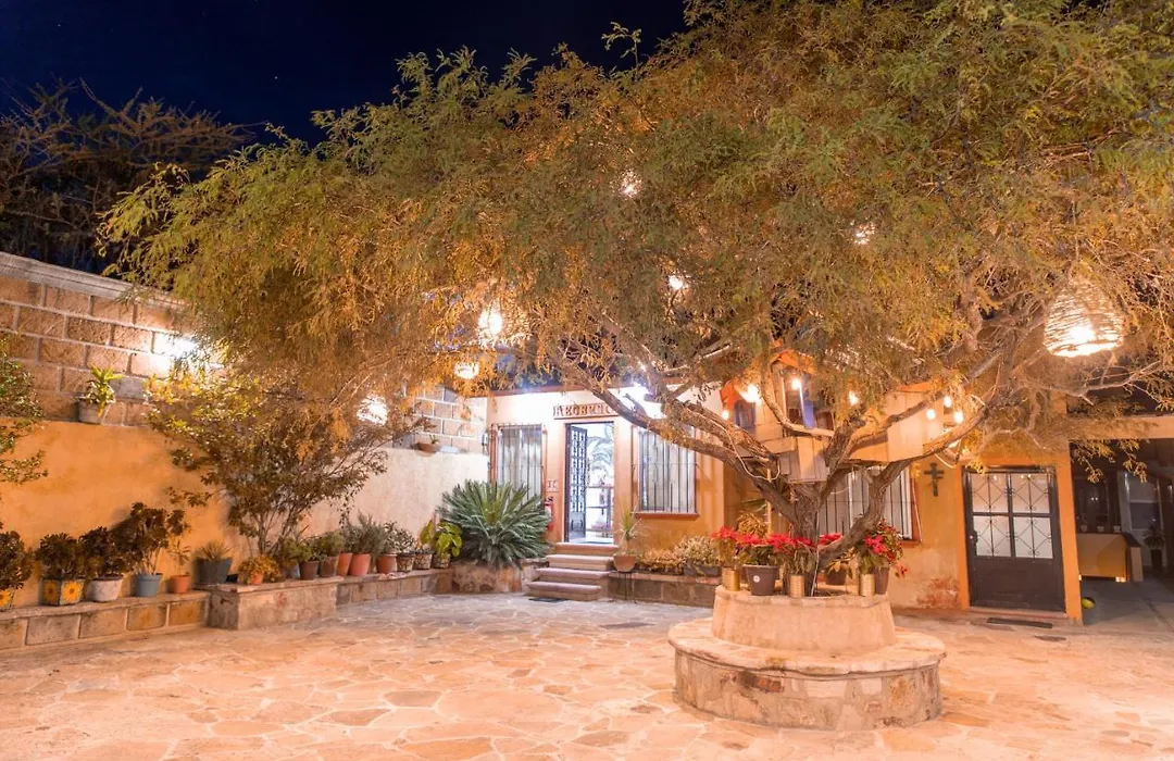 Hotel Casa del Arbol-1