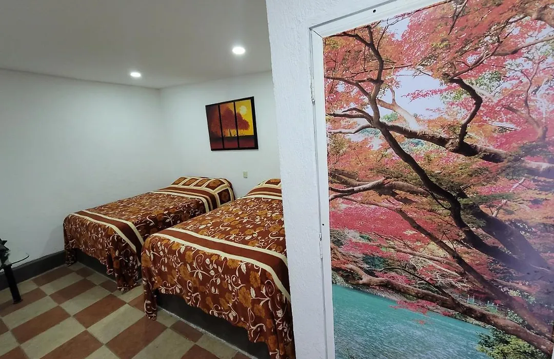 Hotel Vicalis-1