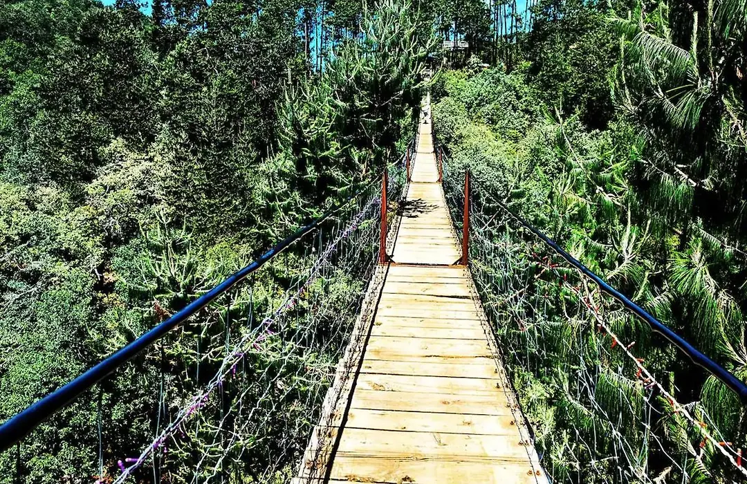 Cabaña para pareja en el bosque IB-1