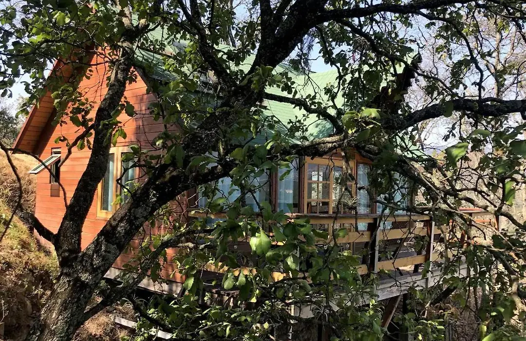 Woodland Cabins-1