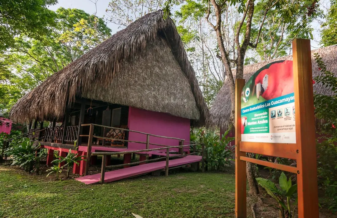 Las Guacamayas Lodge Resort, Selva Lacandona, Chiapas México-1