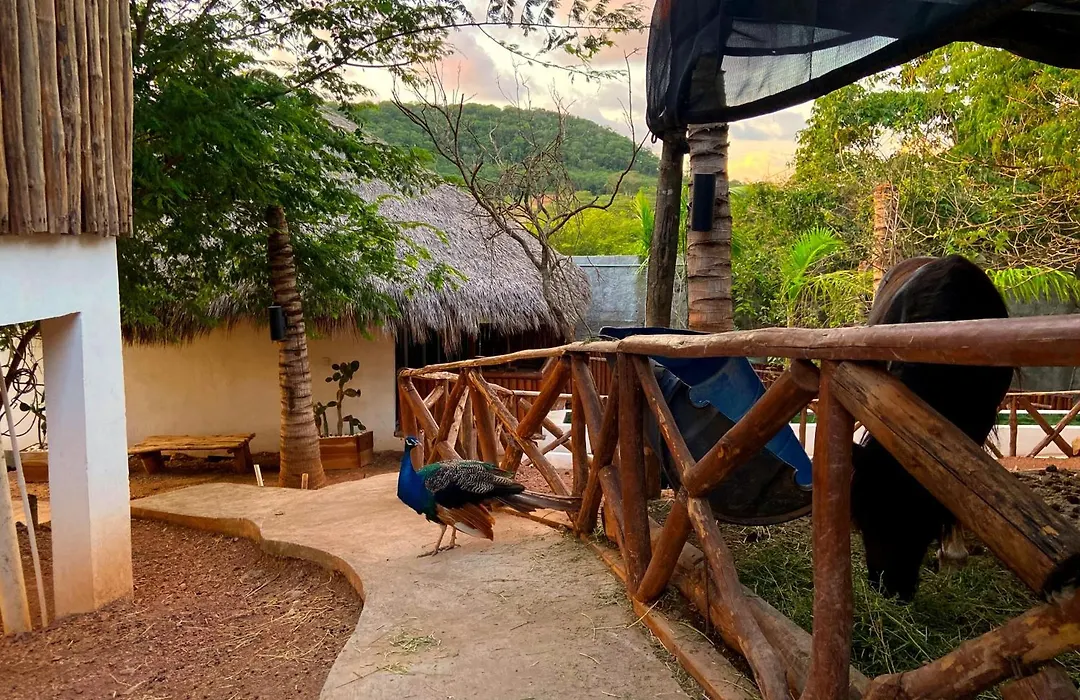 Palm Valley Cabins-1