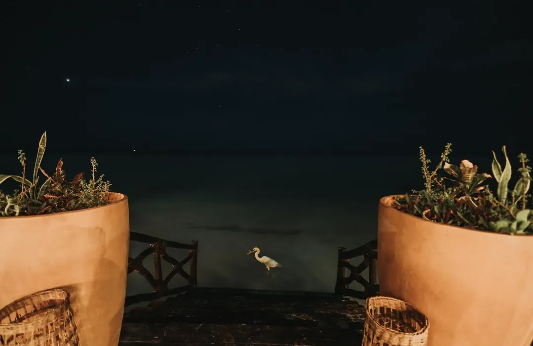 Hotel Las Nubes Holbox-1