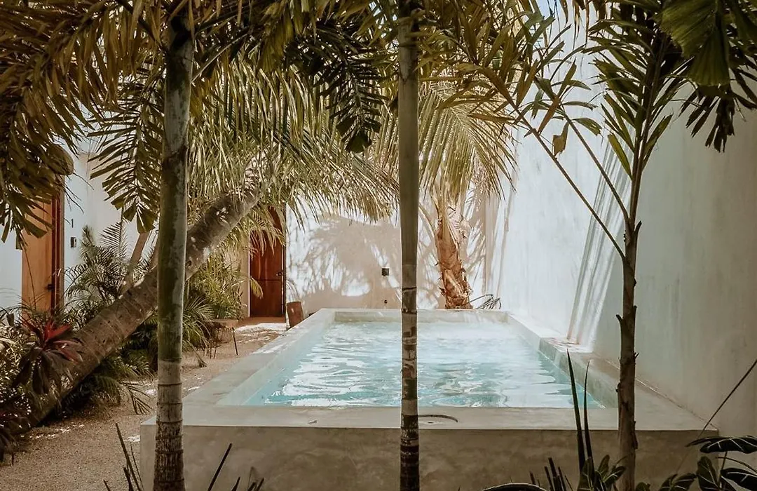 Apartments & Suites Madre Holbox Self-Check In-1