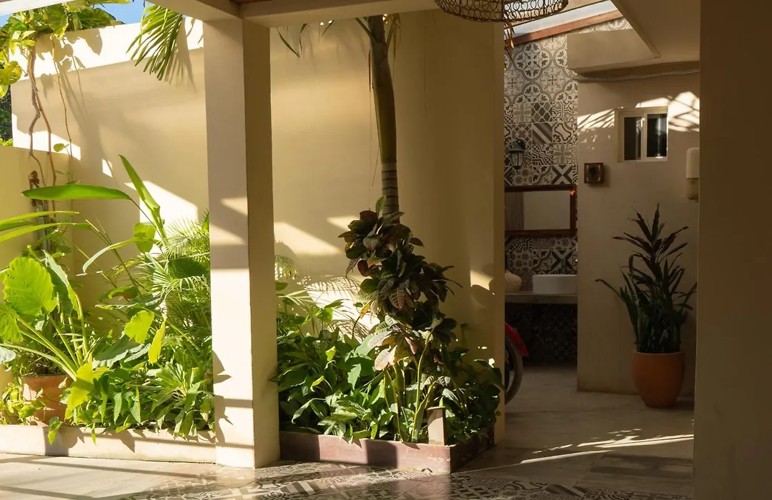 Hotel Siesta Holbox-1