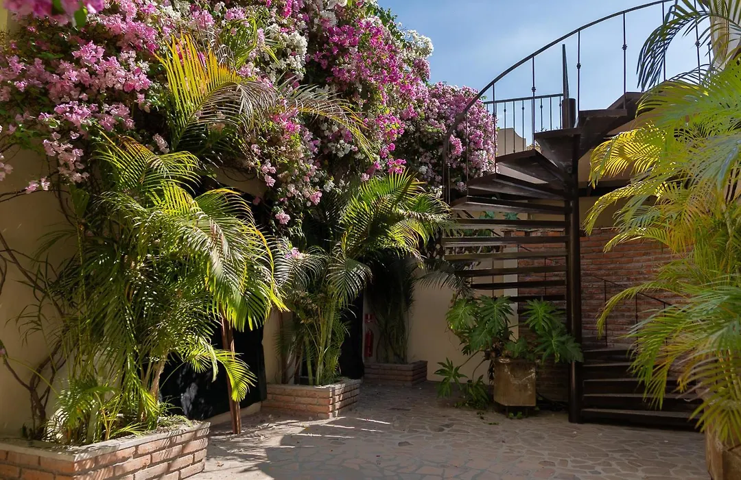 Posada De Las Flores La Paz-1