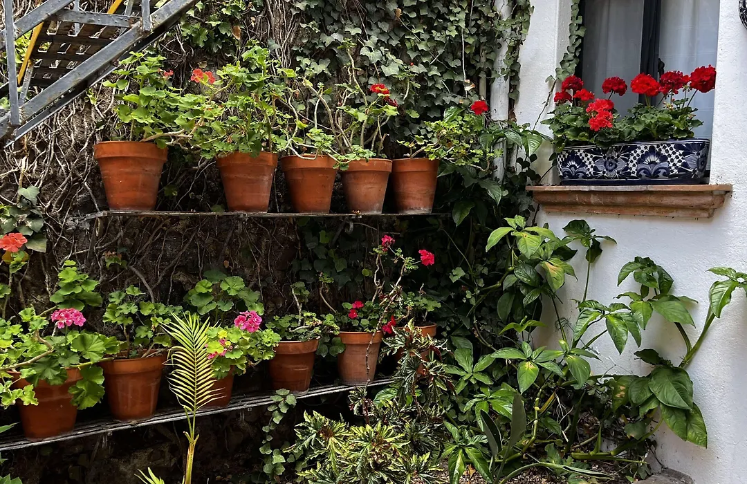 Casa Carmen-1