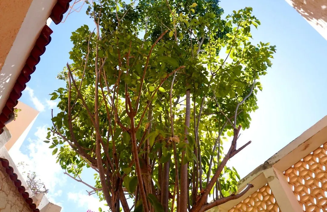 Casa Tavera-1