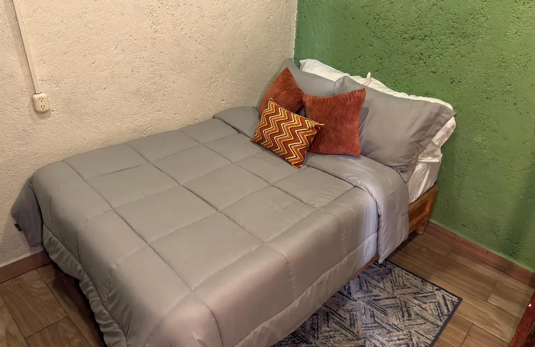 Hostal el Alebrije-1
