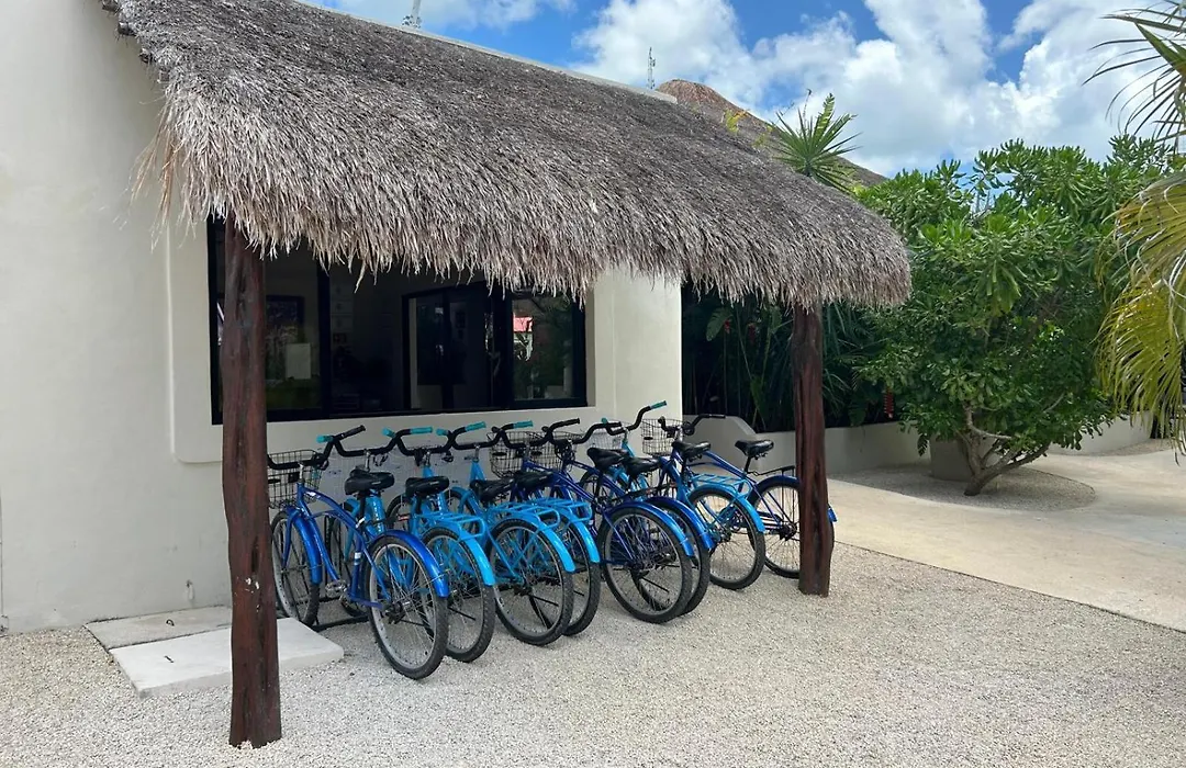 Blue Palm Bacalar - Adults Only-1