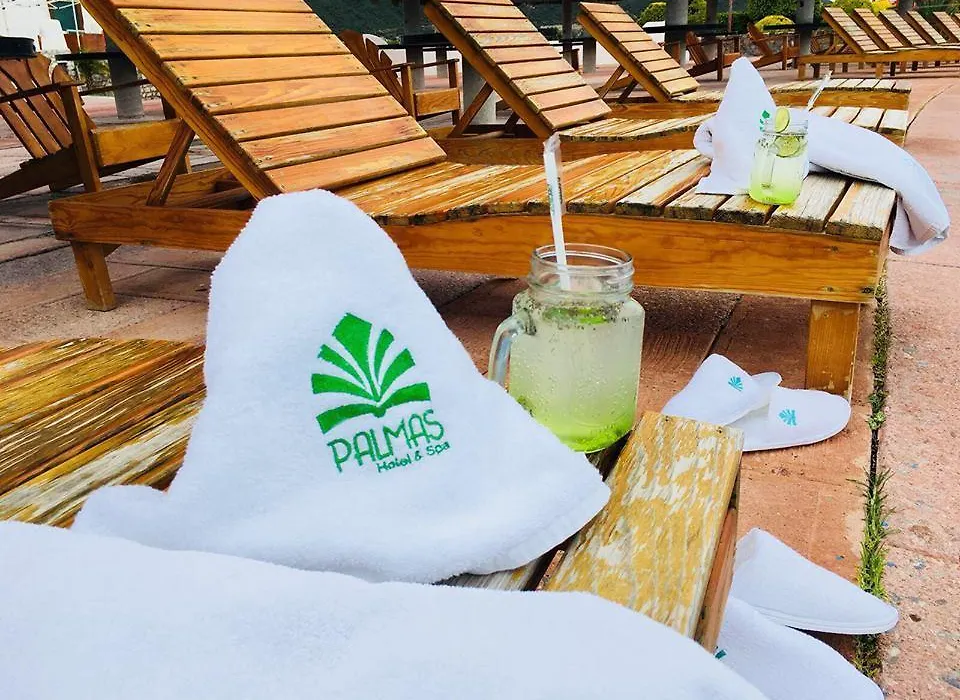 Palmas Hotel & Spa-1
