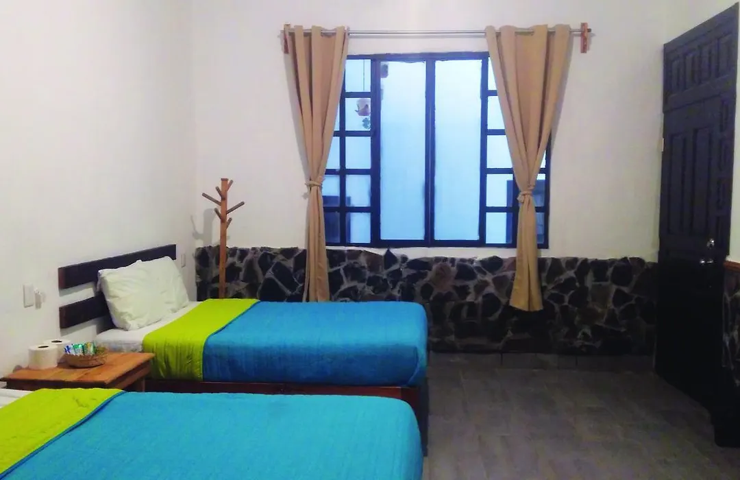 Hotel Falcon-1