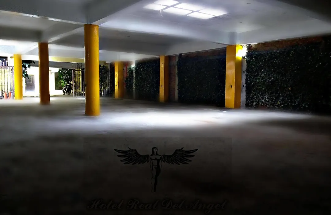 Hotel Real Del Angel-1