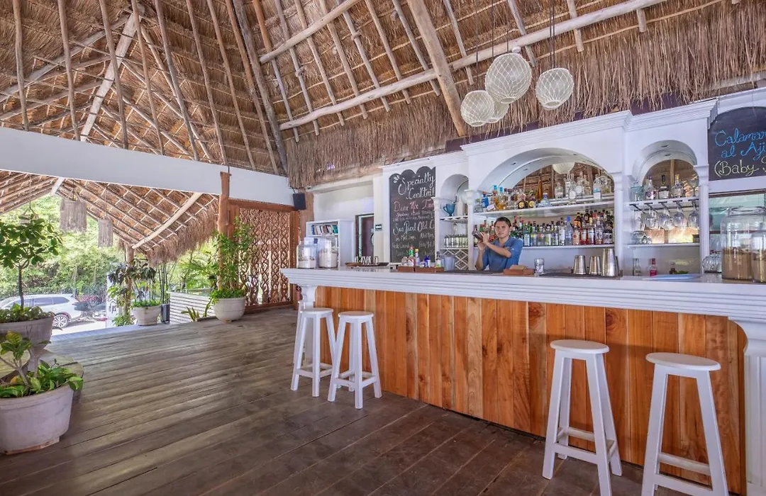 El Pez A Colibri Boutique Hotel-1