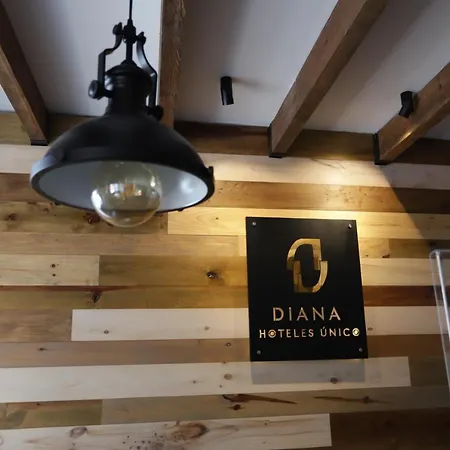 Hotel Diana-3