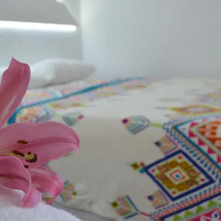 Hotel Vicalis-2
