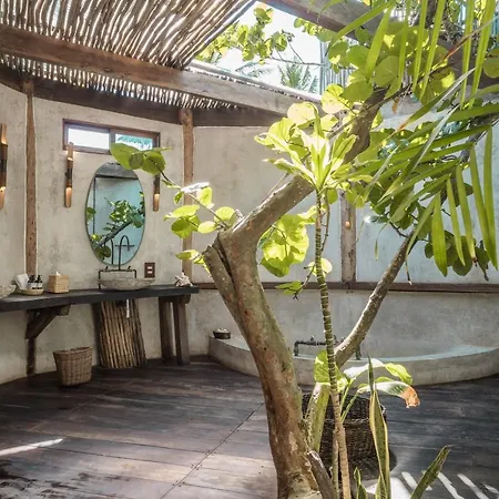 Delek Tulum-2