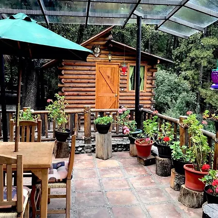La Cabaña Del Tata-3