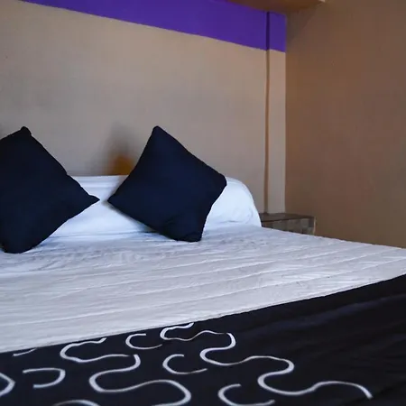 Hotel Platino-3