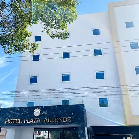 Hotel Plaza Allende-2