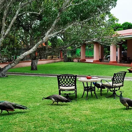 Hotel Aromas-3
