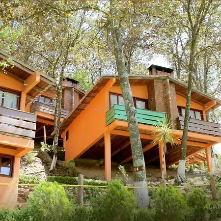 Cabañas Los Bosques del Zembo-3