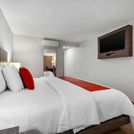 Comfort Inn Querétaro-3
