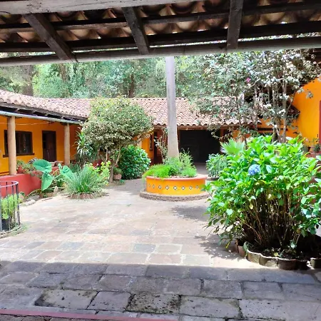 Cabañas y habitaciones Los Cedros-3