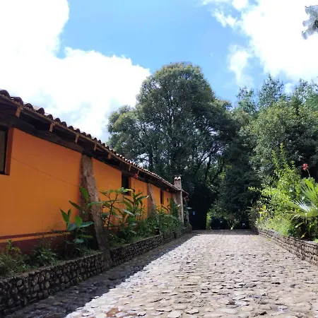 Cabañas y habitaciones Los Cedros-2