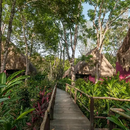 Las Guacamayas Lodge Resort, Selva Lacandona, Chiapas México-2