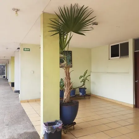 Hotel Avenida-2