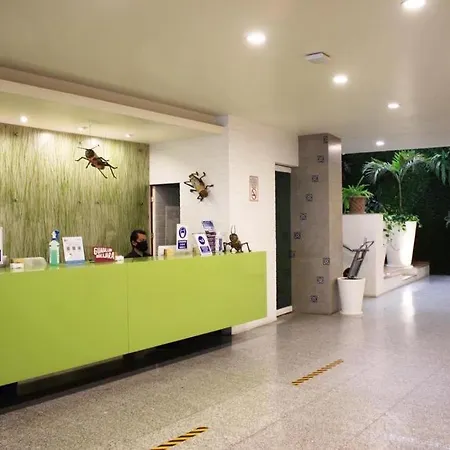 Aranzazu Eco-2