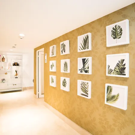 HS HOTSSON Hotel Puebla-3
