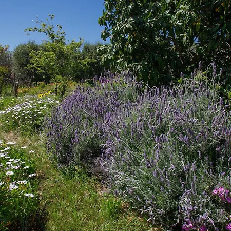 Quinta Maria en la Ruta del Vino-2
