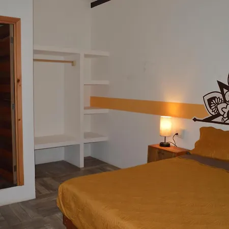 Hotel Axolotl-2