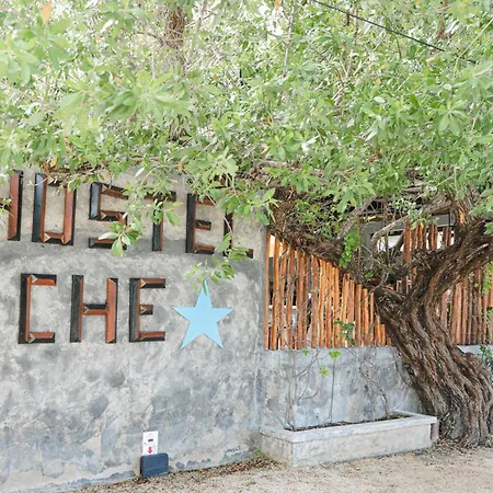 Che Holbox Hostel & Bar Adults Only-3