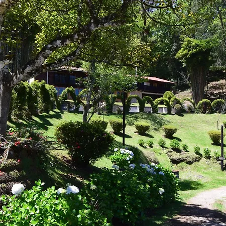 Campestre Daarlu-2