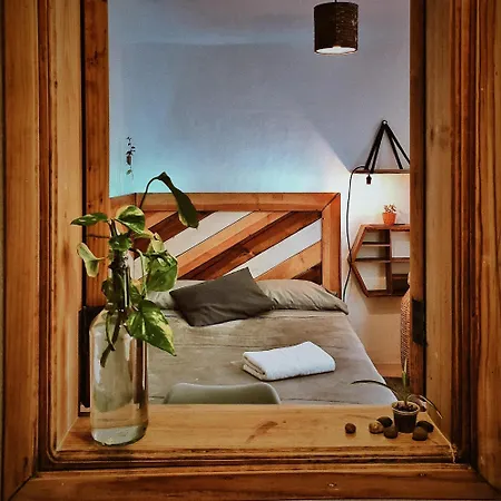 Hostel Boutique 55-2