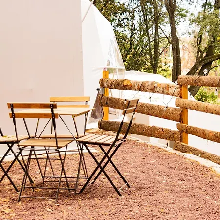 Glamping-Zingo-2