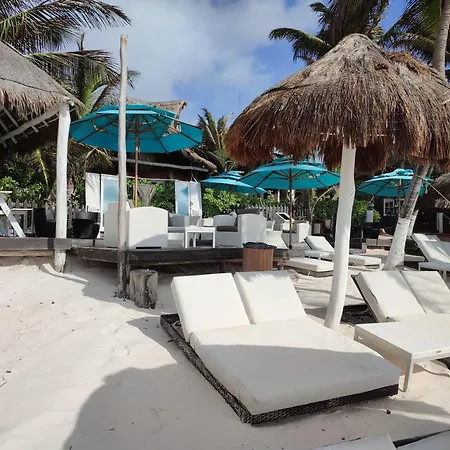Villa Las Estrellas Tulum - located at the party zone-2
