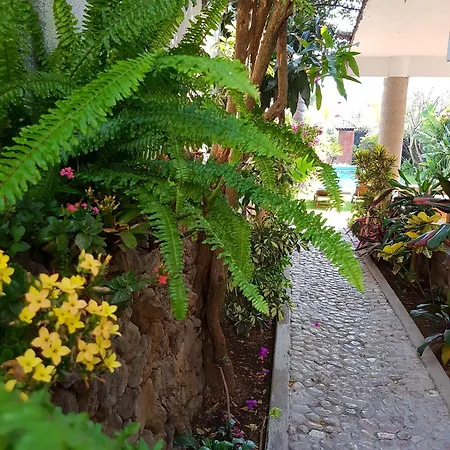 hotel quinta real las palmas malinalco-2