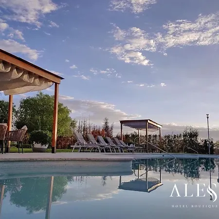 Alesia - Boutique Hotel & Spa-3